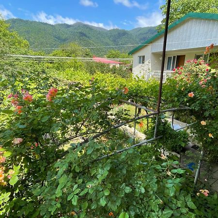 Koticha Villa Borjomi Eksteriør bilde