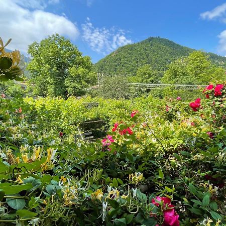 Koticha Villa Borjomi Eksteriør bilde
