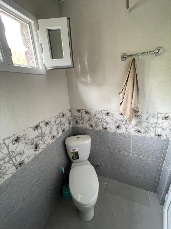 Koticha Villa Borjomi Eksteriør bilde