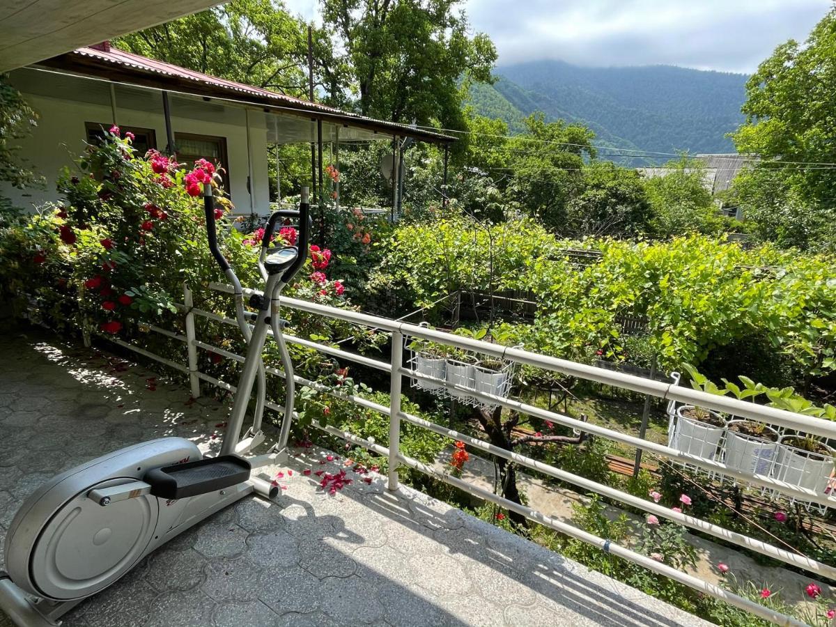 Koticha Villa Borjomi Eksteriør bilde