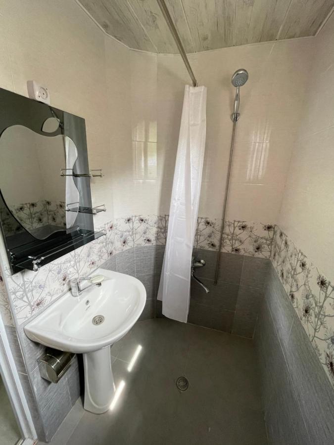 Koticha Villa Borjomi Eksteriør bilde