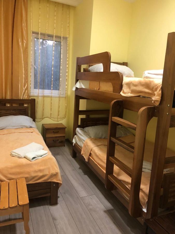 Koticha Villa Borjomi Eksteriør bilde